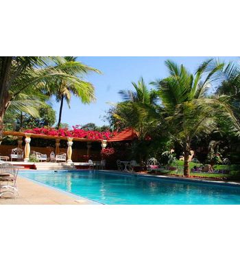 Раннее бронирование тура на Гоа из Узбекистана — отдых по лучшим ценам!